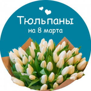 Купить тюльпаны в Анадыре
